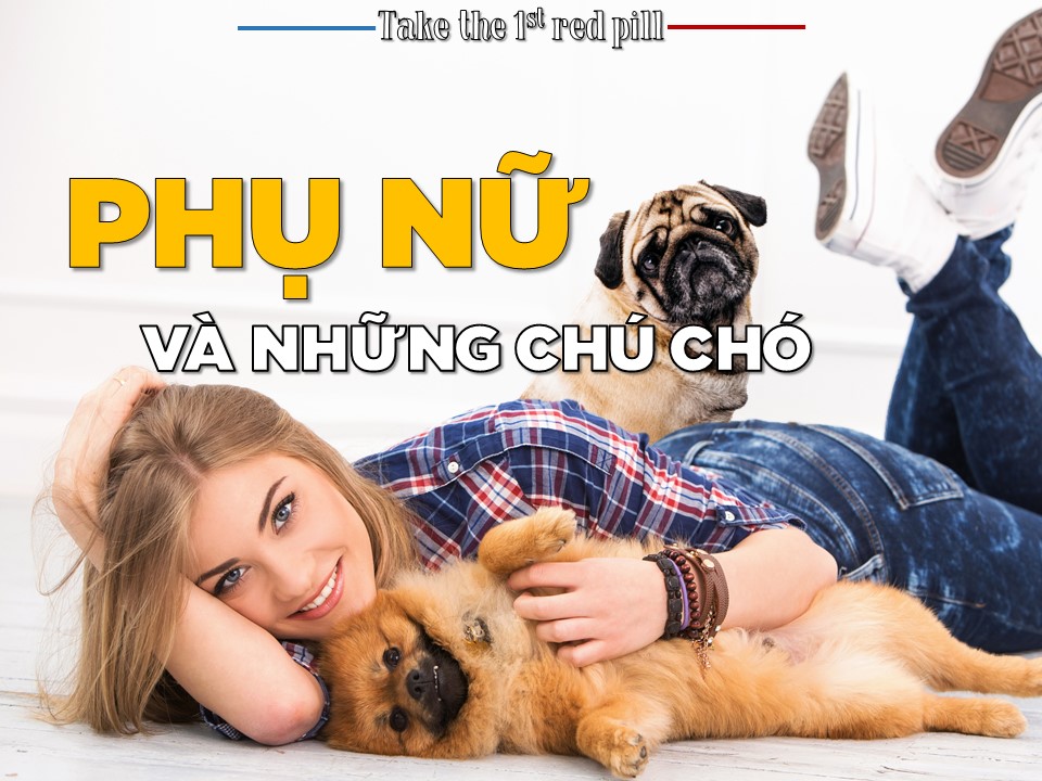 Đọc cái tựa đề kiểu gì cũng có Hater bay vào chửi tôi so sánh Phụ Nữ với chó :v.

Bài này dựa trên kinh nghiệm cá nhân, sau nhiều năm nuôi và chăm sóc những chú chó, bỏ thời gian ra chơi đùa với chúng mà tôi quan sát được. Tất nhiên, còn phải tính cả thời gian tôi “chơi” với Phụ Nữ nữa.

PHỤ NỮ VÀ NHỮNG CHÚ CHÓ CÓ NHIỀU NÉT TƯƠNG ĐỒNG.

Nhiều thứ giống nhau đáng kinh ngạc.

==============================

CẢ HAI ĐỀU LÀ NHỮNG BẬC THẦY VỀ NGÔN NGỮ CƠ THỂ.

Khả năng đọc ngôn ngữ cơ thể người đối diện bắt nguồn từ tổ tiên chúng ta, những người Phụ Nữ trong quá khứ. Họ buộc phải có khả năng này để nhận diện ra “con đực” chất lượng để chọn ghép đôi, rồi để nhìn ra những nguy hiểm tiềm tàng mà họ không có khả năng đối đầu trực diện như Đàn Ông (ví dụ nhận ra một thằng rapist ở cái hang bên cạnh chẳng hạn). Sau khi sinh con, đứa trẻ chưa thể giao tiếp bằng lời nói, khả năng này cho phép họ nhận ra những dấu hiệu bên ngoài có thể đem đến nguy hiểm cho đứa trẻ (cúm, ho, vàng da, khó thở…).

Tôi hay xem kênh youtube của chị này bên Mỹ, chị ta có khả năng “đọc vị” ngôn ngữ cơ thể của các chính trị gia, nó cho chúng ta biết rất nhiều thứ hơn là những gì nói ra từ miệng họ: https://bombardsbodylanguage.com/. Quả thực tôi giật mình vì khả năng này ở một số người, đa phần là Phụ Nữ.

Ở những chú chó cũng vậy. Chúng đọc được ngôn ngữ cơ thể của những người xung quanh rất rõ ràng. Ta vui vẻ thì chúng quẫy đuôi mừng theo, ta tức giận thì nó trốn tiệt vào xó nào đó. Có lần tôi đi làm xa nhà cỡ 1 năm rưỡi, trong thời gian đó mẹ tôi có nuôi một con chó ta, tôi gọi là cậu Vàng. Ngày tôi về thăm nhà nó chỉ sủa duy nhất 1 lần, ấy là lần đầu tiên gặp. Từ khi mẹ tôi ra đón, nó nhận ra ngay tôi là người nhà, là chủ của nó, và thay đổi thái độ sang thân thiện ngay sau đó.

Một con chó khác mà tôi nuôi, nó có khả năng nhận diện được người ăn thịt chó hay không, chỉ qua ánh mắt của họ.

----------------------------------------
Chính bởi khả năng này của Phụ Nữ mà Đàn Ông không có, mới xảy ra nhiều chuyện thú vị.

Nếu trong quan hệ hôn nhân, tỉ lệ Phụ Nữ ngoại tình TRÓT LỌT luôn cao hơn Đàn Ông. Tức là những ông chồng ngoại tình luôn bị vợ mình phát hiện ra. Không phải “mụ vợ” ấy có giác quan thứ 6 như mấy ông tham của lạ thường kháo nhau ngoài quán bia. Sai rồi.

Đàn Ông sau khi quan hệ tình dục có sự thay đổi trên khuôn mặt, mà chính họ cũng không nhận ra. Tóc trở nên mượt và bóng hơn, da mặt và môi căng hơn, mắt lờ đờ trông dại đi vì mới xuất tinh. Những đặc điểm này dù các ông có tắm kĩ đến mấy thì về tới nhà mấy “mụ vợ” ấy vẫn nhận ra nhé.

Ở những cô gái trẻ chưa từng QHTD thì có thể họ không nhận ra điều này, nhưng đây là vợ ông - người đã ngủ với ông nhiều năm trời, và hơn hết, cô ta được thừa hưởng món quà tuyệt vời này từ tổ tiên. Không qua mặt được chị mày đâu sói ạ.

Cho nên là, ngoại tình cũng cần phải có kiến thức là thế. Không học chỉ có thiệt thôi :v.

Một cô giáo trẻ thời tôi học cấp 2, cô ta còn có khả năng nhận diện ra những thằng nhóc nam sinh đêm qua vừa mới thủ dâm. Trúng phóc 100%. Ngày đó tôi sợ hết hồn vì khả năng của cô này. Giờ thì tôi đã hiểu.

Gặp một cô gái trẻ ngoài đường. Với Đàn Ông, mọi thứ rất đơn giản, chỉ có là “ngon” và “không ngon” mà thôi. Nhưng với Phụ Nữ, họ có thể nhìn ra cô gái kia bao nhiêu tuổi + mấy tháng, chuỗi ngọc trai kia hàng fake 1 hay fake 2, đường kính viên ngọc bao nhiêu cm, đôi giày cao gót kia có tuổi thọ bao năm… Đáng sợ lắm.

“Phụ Nữ là loài tiểu tiết” là như vậy đó.

==============================

Ở những chú chó, chúng có khả năng nhận diện “nỗi sợ” từ các sinh vật nào khác, kể cả động vật lẫn con người.

Những kẻ lạ đến nhà bạn với tâm địa xấu, thường ở sẽ phát ra một nguồn năng lượng xấu, những chú chó sẽ nhận ra đầu tiên. Nếu dẫn bạn trai/ bạn gái về nhà mà con chó nhà bạn không welcome người đó lắm? Bạn nên cẩn thận đi là vừa đấy.

Con chó nhà hàng xóm, nếu bạn cảm thấy SỢ nó, nó cũng sẽ cảm nhận được. Mỗi lần gặp bạn sẽ là mỗi lần nó gầm gừ, đe dọa, sủa loạn, kiểu như: “khu vực này thuộc chủ quyền của tao, mày nên sợ đi được rồi đấy”. Ngược lại, nếu như bạn thuộc dạng “không sợ chó”, bạn vững tâm lý mà dám nhìn thẳng mắt nó, thể hiện độ “cứng” của bạn - Ấy cũng là lúc chú chó này cư xử “biết điều” hơn.

Cái này cũng là cách giải thích cho “Chó cậy gần nhà, gà cậy gần chuồng”. Đơn giản là loài chó bao giờ cũng TỰ TIN hơn khi đang ở trong khu vực an toàn lâu nay của nó.

VÀ PHỤ NỮ CŨNG TƯƠNG TỰ NHƯ VẬY.

Họ nhận diện được những anh chàng có Mindset chiến binh, những người này toát ra một luồng năng lượng riêng. Anh ta không sợ hãi, tự tin, làm chủ hành động và lời nói. Bạn không cần phải đoán kết cục đâu, PHỤC TÙNG - là một phản ứng chắc chắn mà Phụ Nữ dành cho những người Đàn Ông này.

Ngược lại, những chàng “Nice guy”, Beta Bitch có tư duy sợ sệt Phụ Nữ sẽ KHÔNG BAO GIỜ dành được sự tôn trọng. Cái sự sợ hãi của anh ta phát ra từ đâu? Nó từ ánh mắt, họ không dám giao tiếp mắt (eye contact) với Phụ Nữ. Giọng nói anh ta lưỡng lự không dứt khoát. Anh ta không dám đưa ra chính kiến, quan điểm rõ ràng của bản thân mà luôn đợi Phụ Nữ phải dẫn dắt (thứ mà họ rất ghét). Anh ta luôn THỤ ĐỘNG trong mọi hoàn cảnh.

Thậm chí, ở những anh chàng nghiện thủ dâm lâu năm cũng toát ra một luồng năng lượng chết, trông anh ta hoàn toàn thiếu sức sống. Phụ Nữ cũng cảm thấy điều này.

Trong cái xã hội mà hầu hết Đàn Ông đều là dạng loser, beta như ngày nay, Phụ Nữ họ vẫn miễn cưỡng chọn anh mà thôi. Nhưng tin tôi đi, một khi họ đánh hơi được chàng nào đó “Alpha” hơn, anh đoán được kết cục rồi đó.

Đây là lý do mà tôi luôn khuyên cánh Đàn Ông KHÔNG BAO GIỜ được sợ sệt Phụ Nữ. Một khi anh sợ, anh tôn sùng, thờ phượng họ, cũng là lúc họ hết tôn trọng anh. Nhiều anh chàng người Mỹ ngày nay cay đắng chấp nhân người Đàn Bà của họ dắt trai lạ về, trong khi vẫn đi cày bục mặt trả tiền mua trả góp ngôi nhà đó.

Một bi kịch xuất phát từ sự thiếu hiểu biết mà ra.
Phụ Nữ, họ là sinh vật PHI LÝ TRÍ. Họ sẽ luôn mưu cầu quyền lực, kể cả trong gia đình. Và một khi thằng Đàn Ông kia ngu đến mức quỳ xuống trao cho Phụ Nữ cái họ muốn, đấy cũng là lúc thằng đó bị sút ra đường như một con chó ghẻ.

Còn những thằng “Asshole”, “gia trưởng”, “nam tính độc hại”, “phát xít”, “bảo thủ” (Đây là theo cách gọi của họ, mặc dù cách họ hiểu hoàn toàn sai lạc nghĩa của từ) - Như tôi đây - Luôn luôn nhận được sự ưu ái của họ.

Tạo hóa trớ trêu vậy đó.

==============================

Phụ Nữ và những chú chó - Họ sẽ luôn LẤN LƯỚT trong mối quan hệ.

Con chó mà bạn nuôi, nếu như ngay từ nhỏ bạn không đặt ra những “lằn ranh đỏ” rõ ràng, chắc chắn nó sẽ trở thành con chó hư. Cắn nát giày dép, lục lọi quần áo, đào bới chậu cảnh, “xả” vô tội vạ…
Nó cũng tương tự với Phụ Nữ, điều này tôi đã từng viết trong bài “Tại sao Phụ Nữ thích Test Đàn Ông”.
Họ sẽ luôn luôn TEST bạn - thằng Đàn Ông trong mối quan hệ. Test bằng cách thử LẤN LƯỚT từng chút một trong mối quan hệ. Bắt đầu bằng những thứ nhỏ nhặt dễ bỏ qua như một câu nói trống không, hay một vài hành động nhỏ thiếu tôn trọng…
Họ sẽ lấn lướt từng chút, từng chút một, trong tiếng anh, cánh Redpill gọi đây là hiện tượng “Step by step Manipulate” của Phụ Nữ - Họ đang Test đấy.

Con chó tôi nuôi có cái tật thích nhảy lên giường nằm vào mùa đông. Sau vài lần “ăn đập” nó bỏ được cái tật này. Cỡ vài tháng sau, nó bắt đầu lò dò đặt 2 chân trước lên giường, nhìn tôi khiêu khích. Bạn đoán được kết cục là gì nếu tôi bỏ qua không phản ứng gì rồi đấy?

Thấy tương đồng chưa?

Phụ Nữ, họ sẽ KHÔNG NGỪNG test người Đàn Ông trong mối quan hệ. SUỐT ĐỜI. Những anh chàng thiếu hiểu biết không nhận ra được sự thật này, ở Việt Nam người ta gọi là hiện tượng “Đội vợ lên đầu” ấy.

Đừng thắc mắc tại sao hiện tượng CUCKS - mấy thằng bị cắm sừng ngày nay ngày một nhiều như vậy. Tôi đã cảnh báo các ông về bản năng Hypergamy của Phụ Nữ rồi chứ?

Chủ đề này chắc còn bài nữa mới hết. Nhớ share để tôi viết tiếp nhé. Chúc các bạn một ngày Chúa Nhật an lành, và nhớ học cho mình cái mindset “không sợ chó” nhé.

---------------------------------------Pill