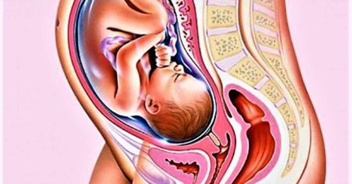 Thai giáo tháng thứ 9: Bé đã sẵn sàng cho tiếng khóc đầu đời