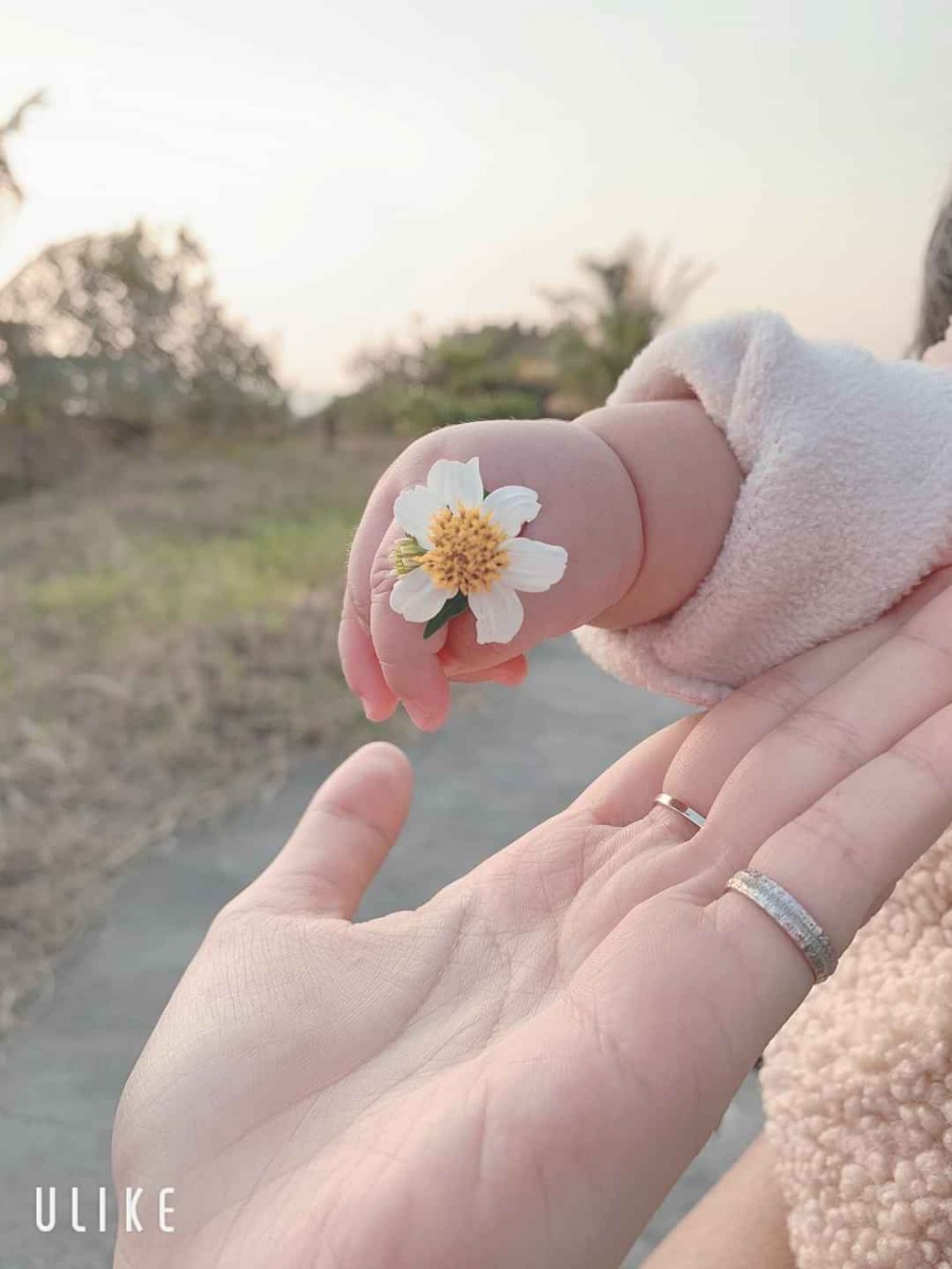 Chia sẽ cách các mom ở cữ sau sinh đi a, mình 36w rồi, chuẩn bị lót ổ mà k biết nên ờ cử ntn cho hộ lý vào mùa này