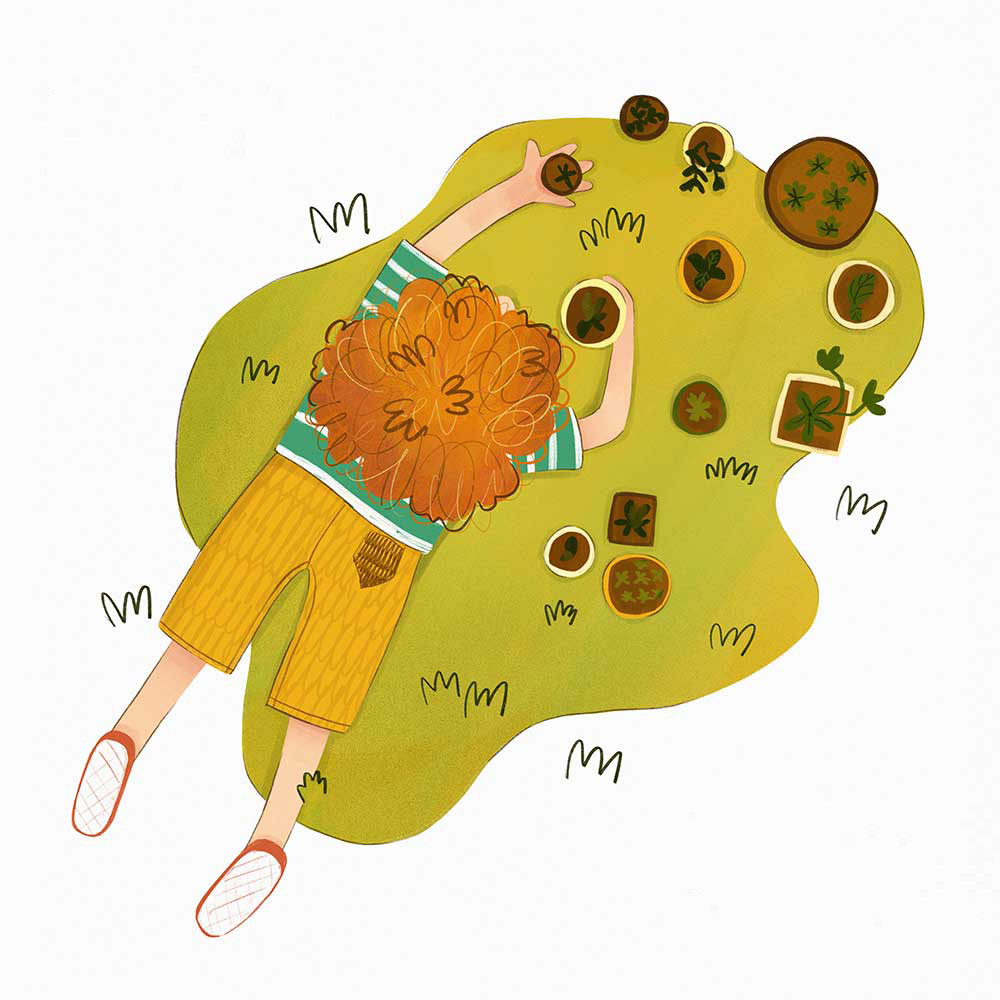 Truyện Ehon - Truyện tranh thai giáo: Hạt đào bé nhỏ