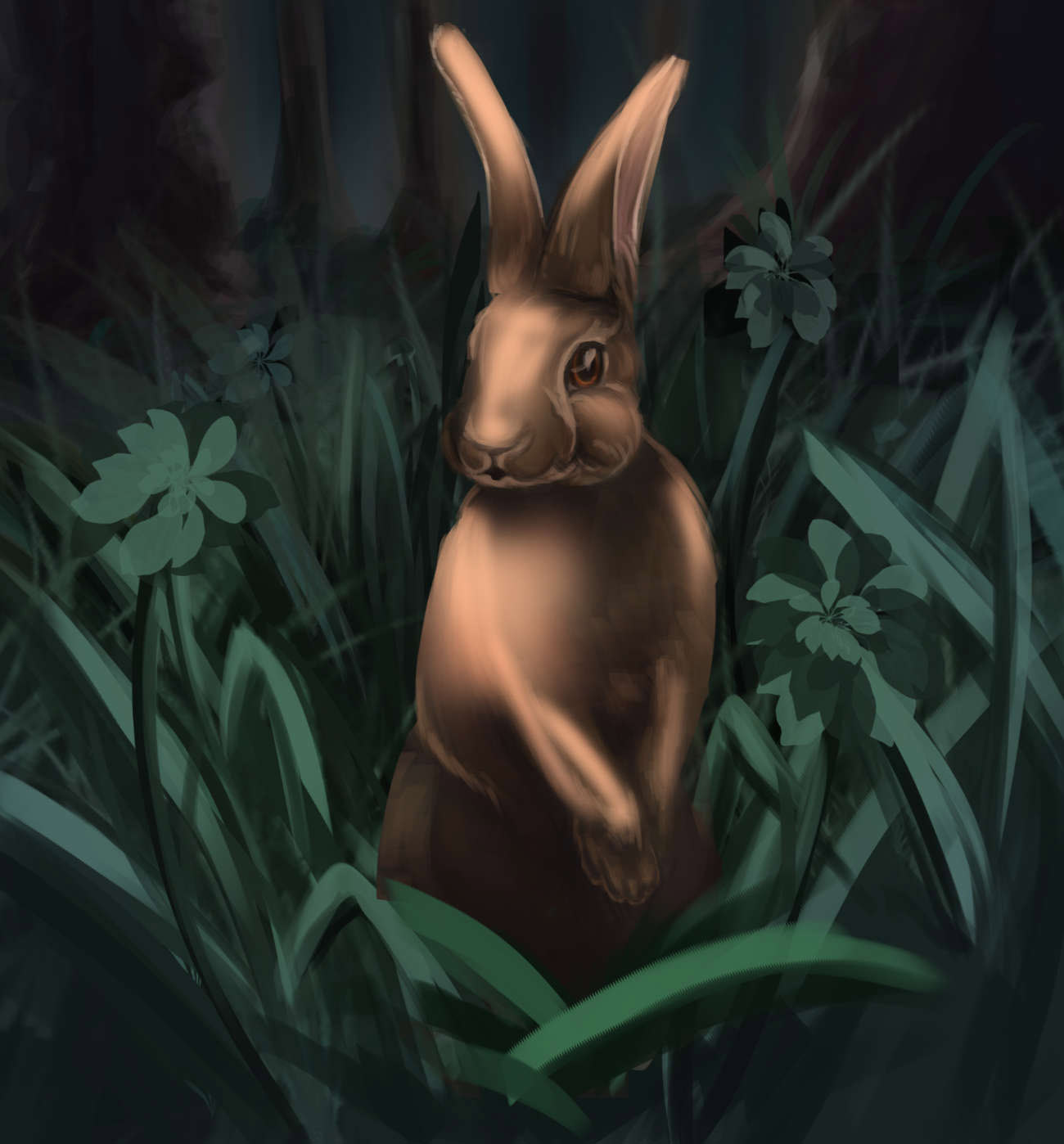 Truyện Ehon - Truyện tranh thai giáo: Luna và chiếc hộp giữ sao