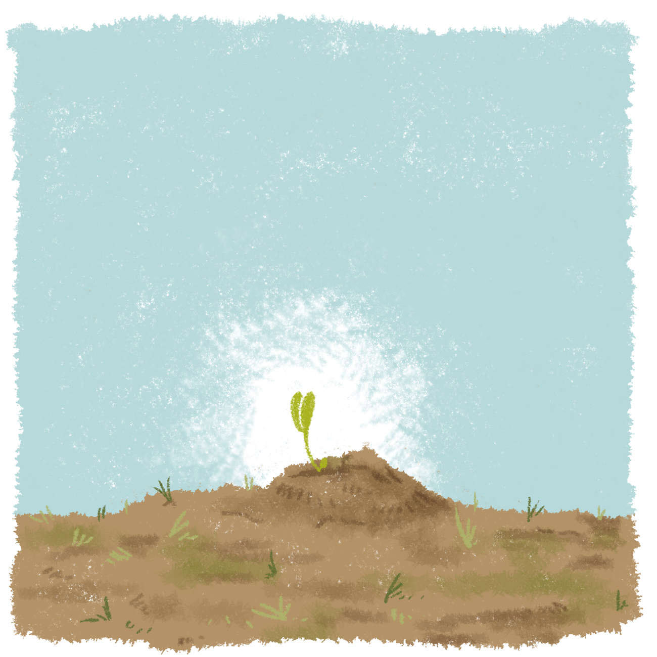 Truyện Ehon - Truyện tranh thai giáo: Hạt giống nảy mầm