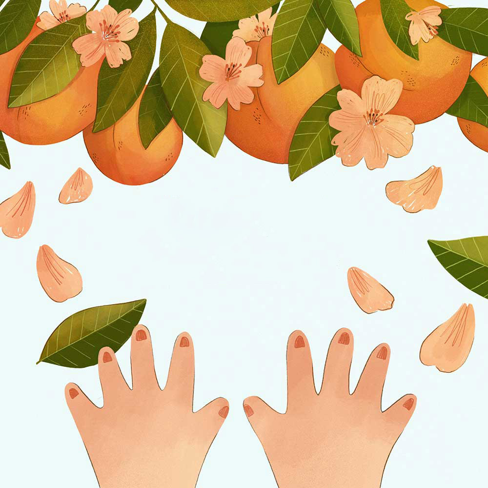 Truyện Ehon - Truyện tranh thai giáo: Hạt đào bé nhỏ