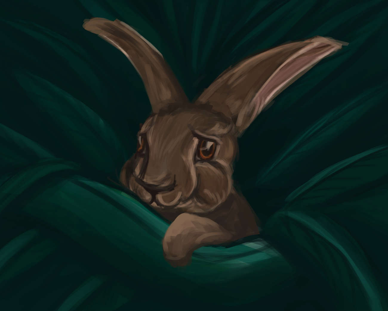 Truyện Ehon - Truyện tranh thai giáo: Luna và chiếc hộp giữ sao