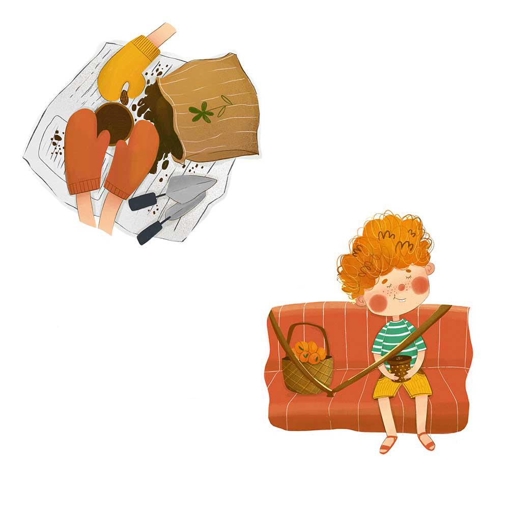 Truyện Ehon - Truyện tranh thai giáo: Hạt đào bé nhỏ