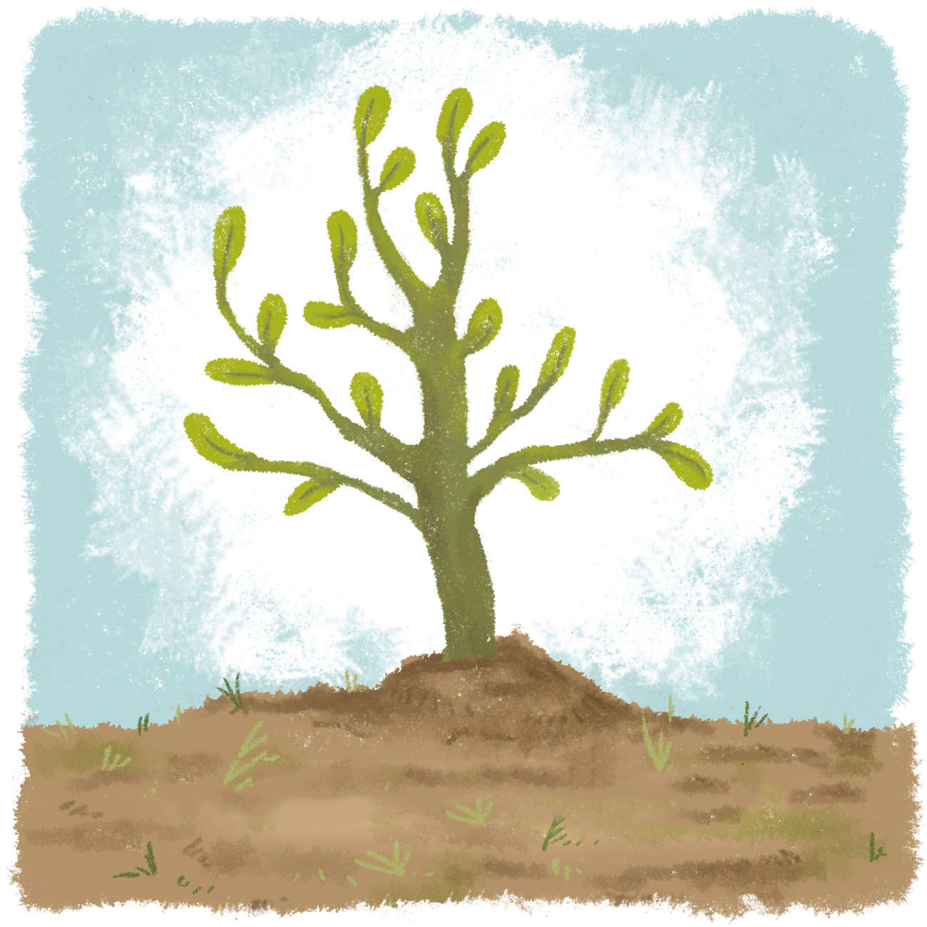 Truyện Ehon - Truyện tranh thai giáo: Hạt giống nảy mầm