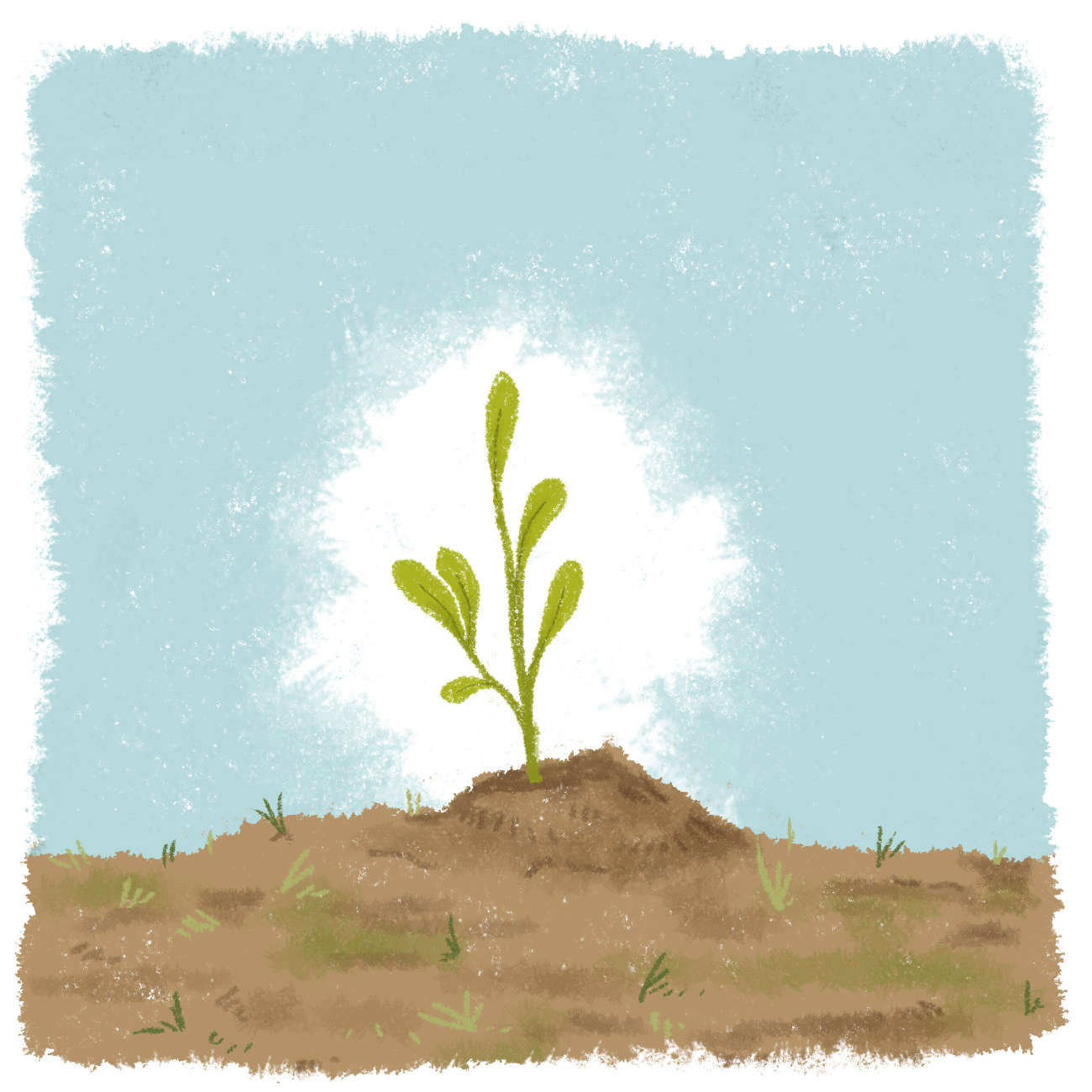 Truyện Ehon - Truyện tranh thai giáo: Hạt giống nảy mầm