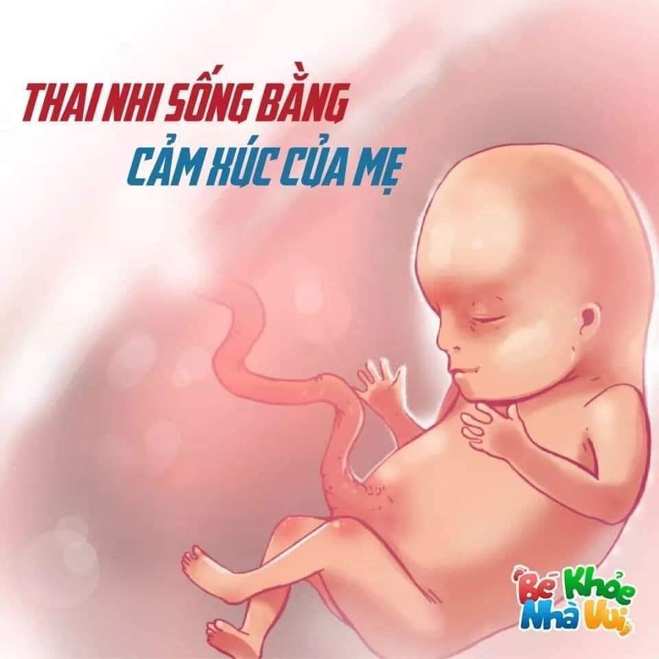 Mẹ bầu ơi hãy nhớ nhé