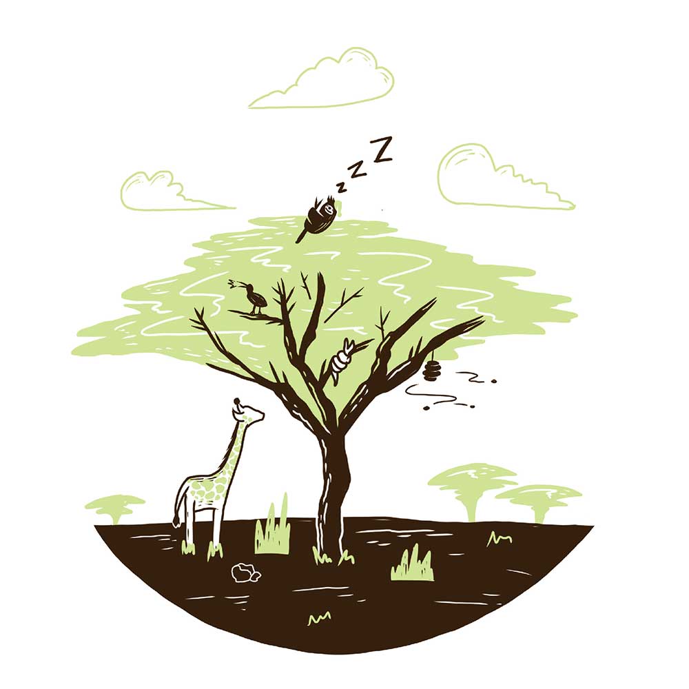 Truyện Ehon - Truyện tranh thai giáo: Ngài Lười ngái ngủ