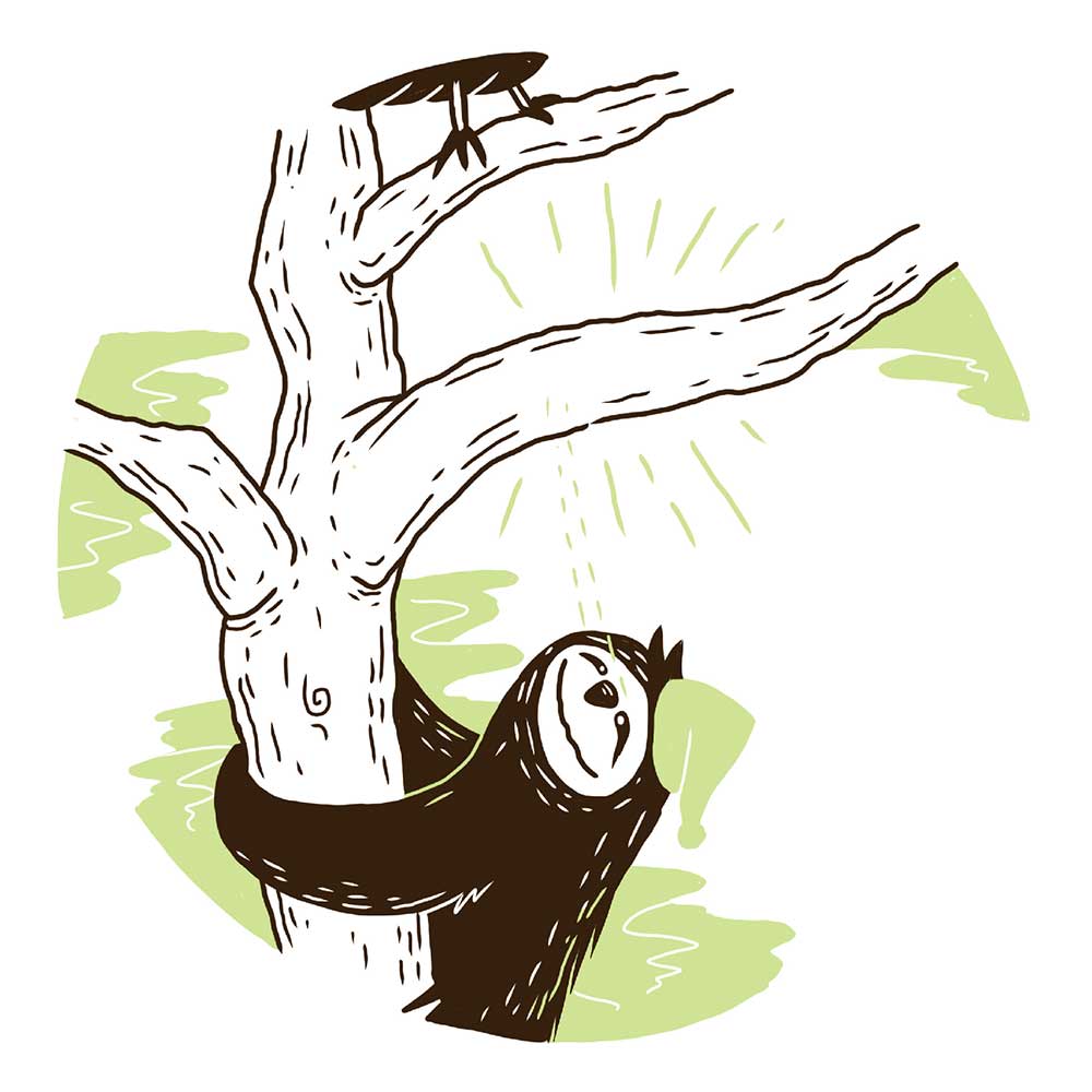 Truyện Ehon - Truyện tranh thai giáo: Ngài Lười ngái ngủ