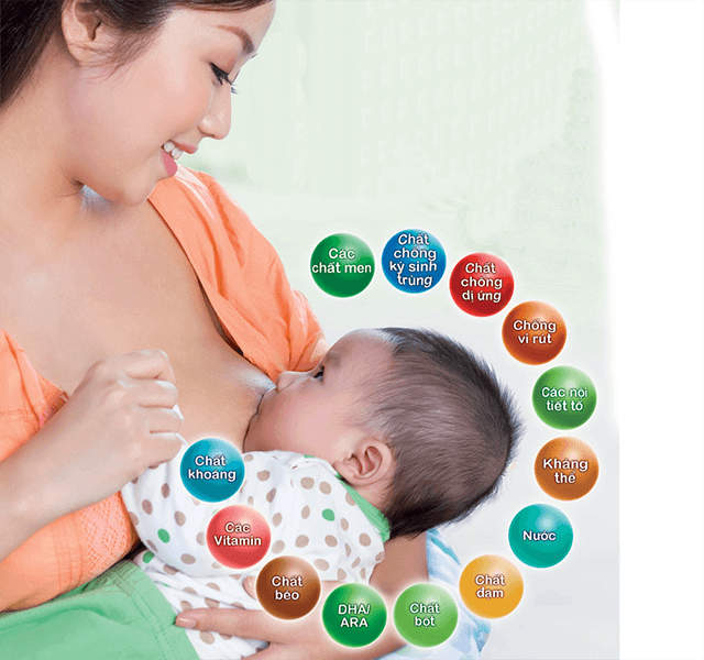 Mẹ Bầu Nên Ăn Gì Để Nhiều Sữa Cho Con Bú