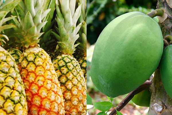 Mang Thai 3 Tháng Đầu Không Nên Ăn Quả Gì?