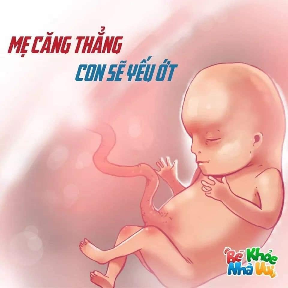 Mẹ bầu ơi hãy nhớ nhé