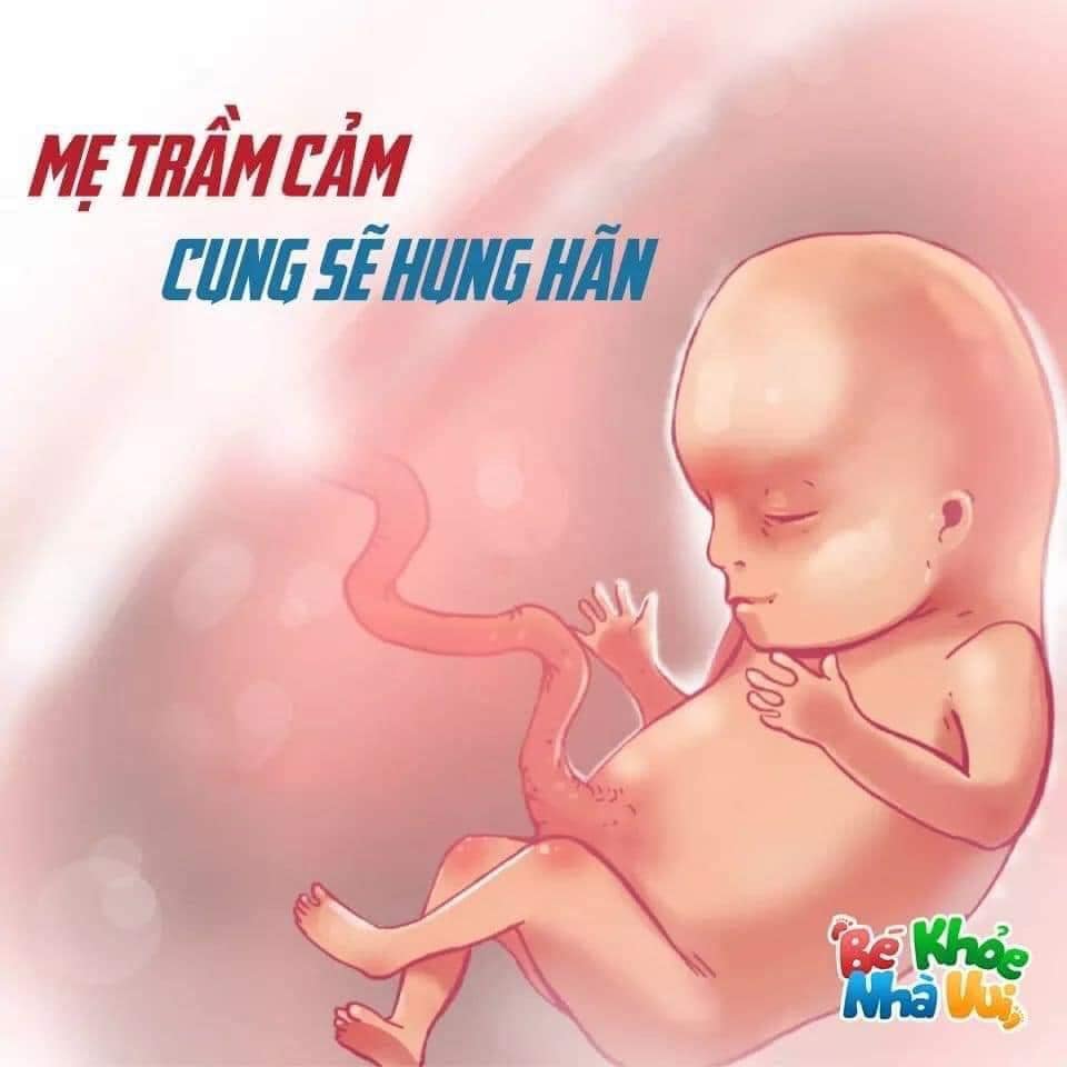 Mẹ bầu ơi hãy nhớ nhé