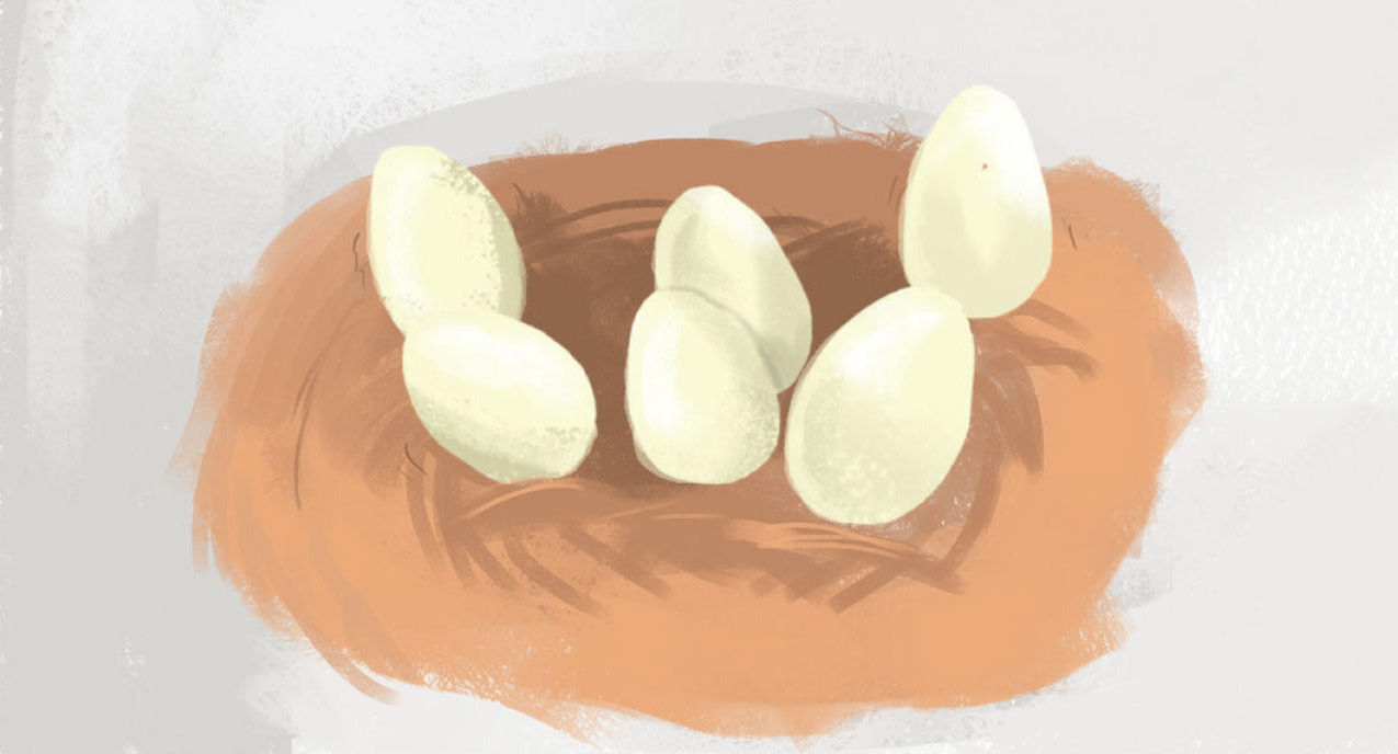 Truyện Ehon - Truyện tranh thai giáo: Gà mẹ bận rộn