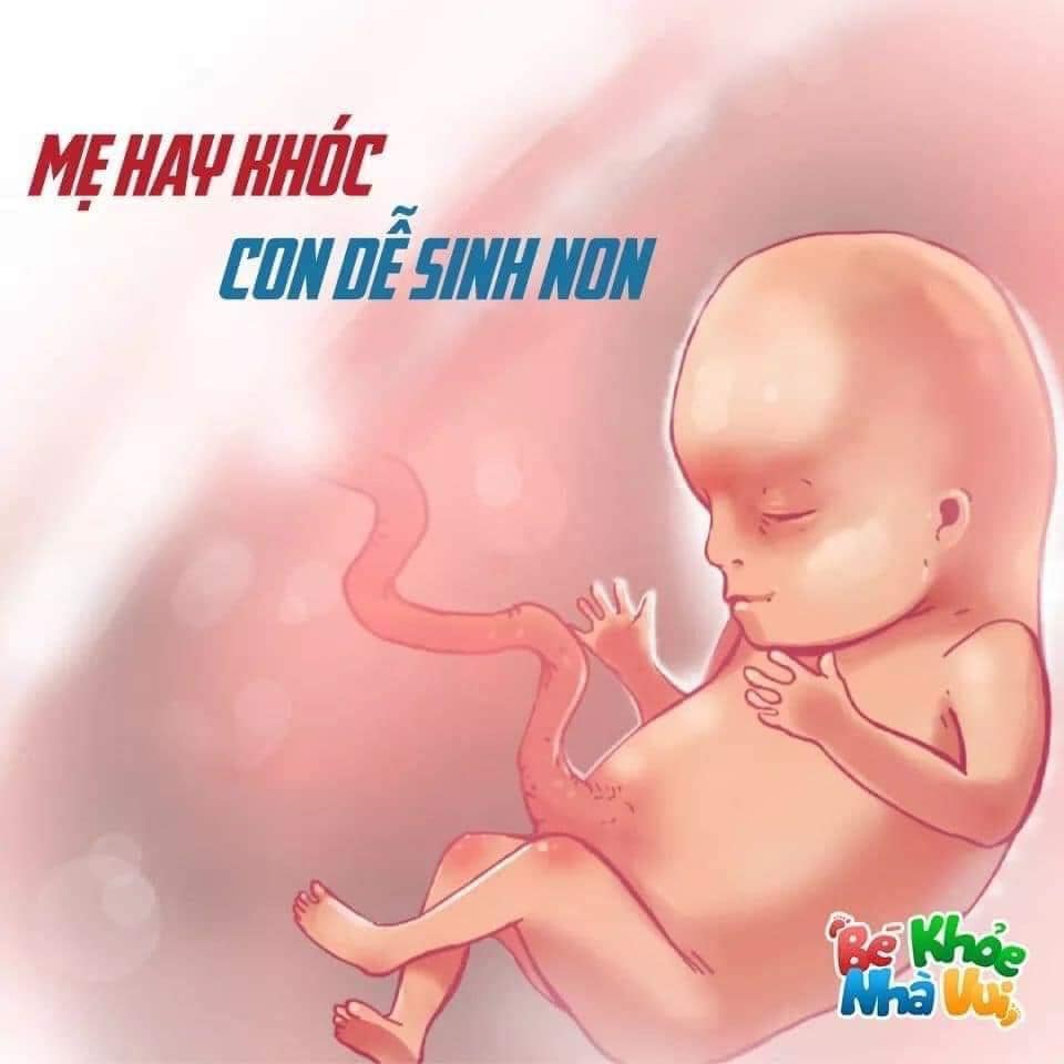 Mẹ bầu ơi hãy nhớ nhé