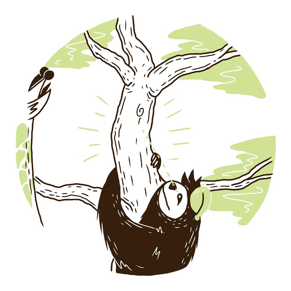 Truyện Ehon - Truyện tranh thai giáo: Ngài Lười ngái ngủ