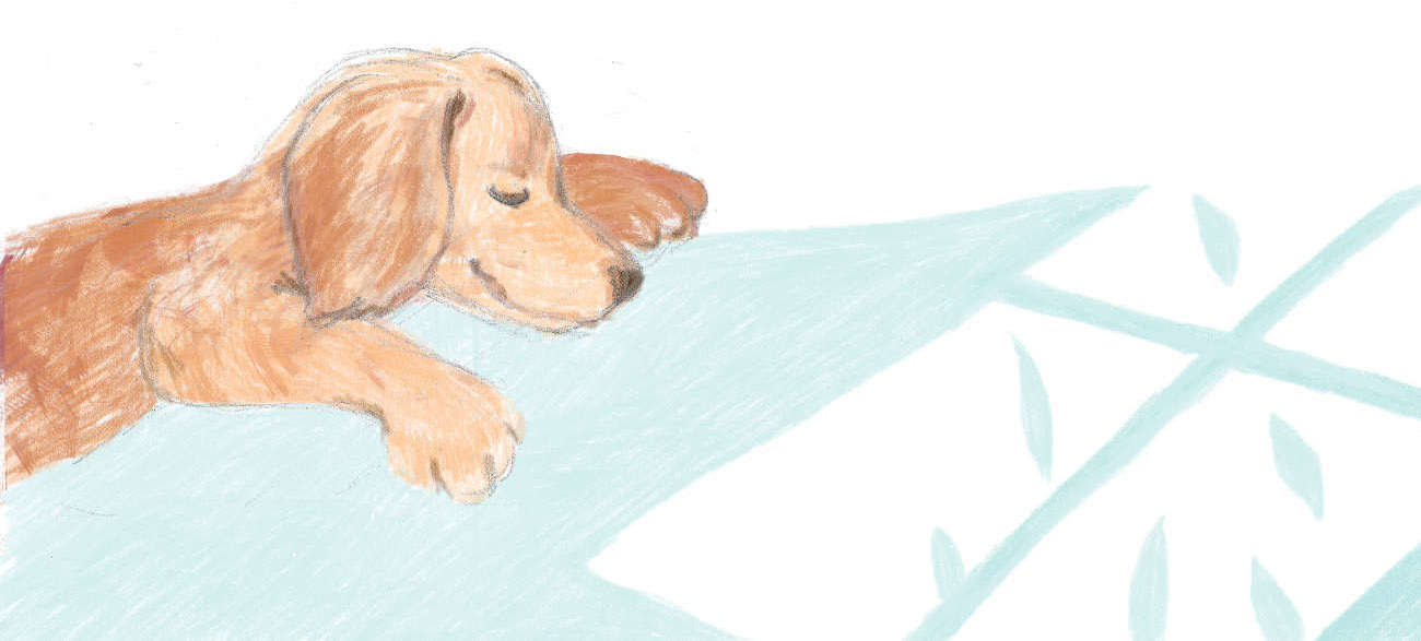 Truyện Ehon - Truyện tranh thai giáo: Đến bệnh viện