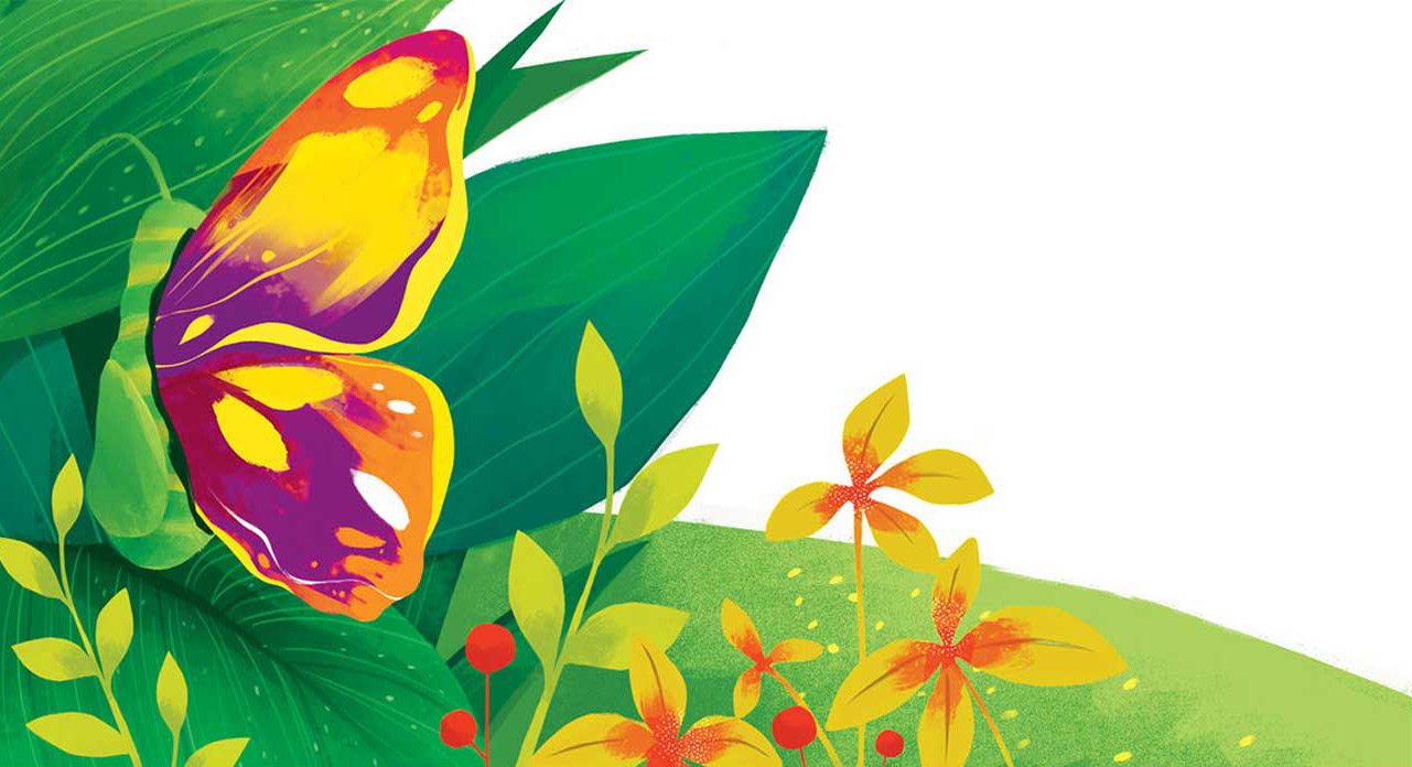 Truyện Ehon - Truyện tranh thai giáo: Chú sâu nhỏ tìm giày