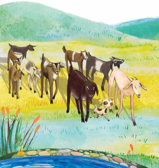 Truyện Ehon - Truyện tranh thai giáo: Bí mật bong bóng