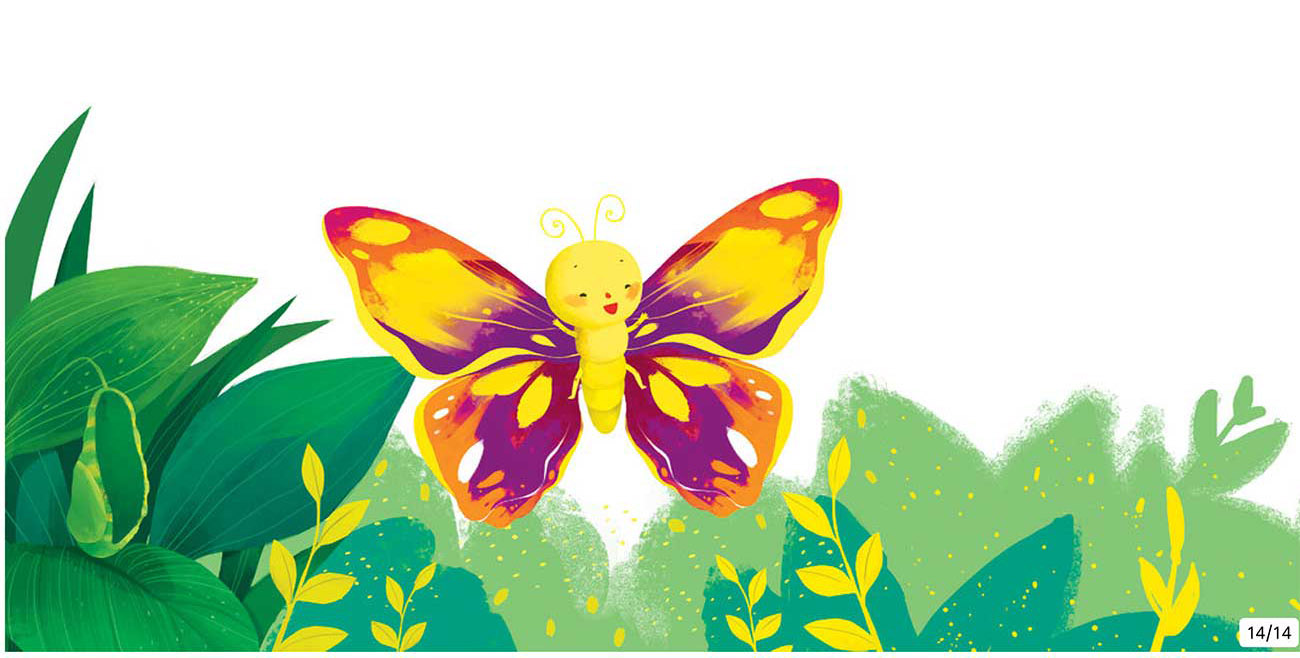 Truyện Ehon - Truyện tranh thai giáo: Chú sâu nhỏ tìm giày