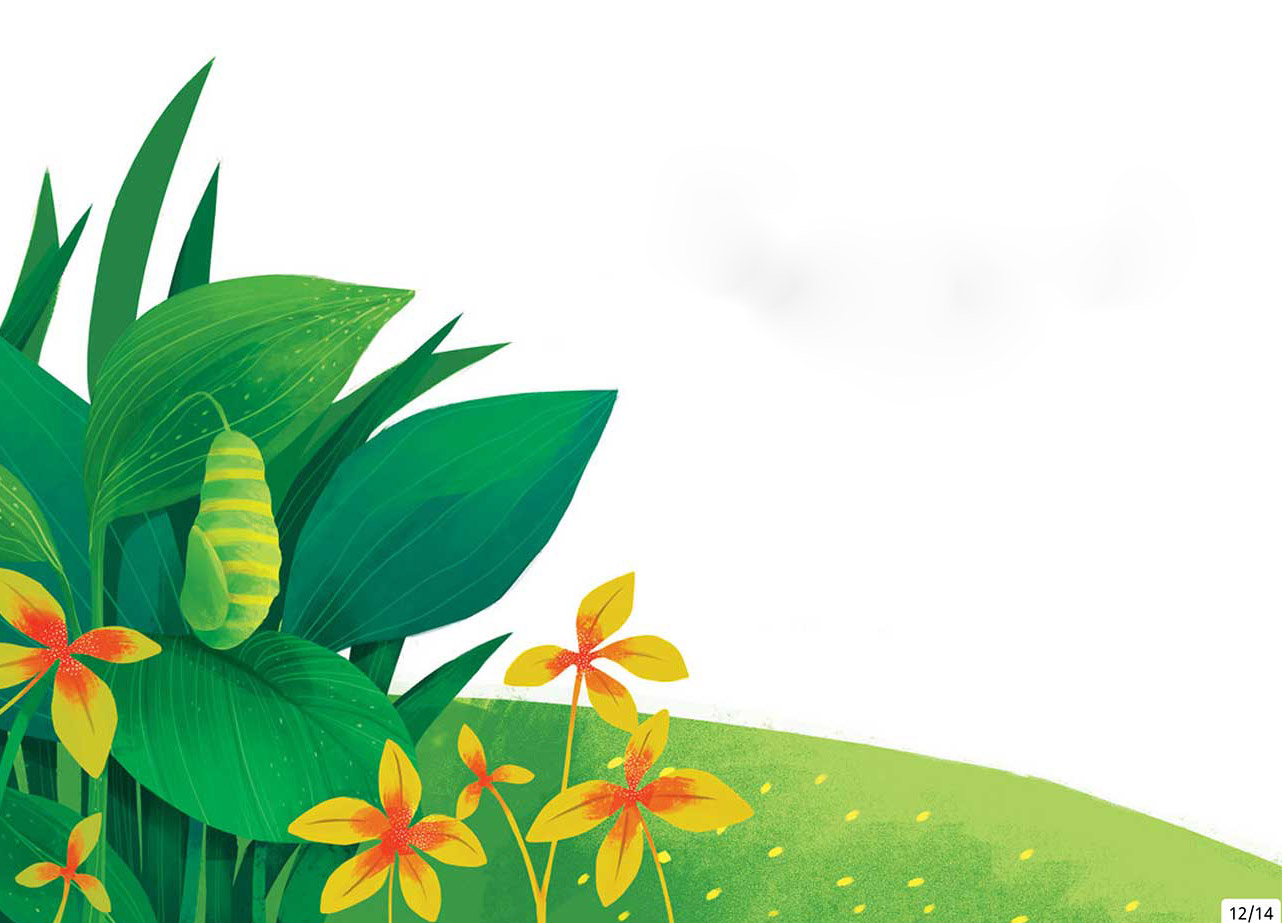 Truyện Ehon - Truyện tranh thai giáo: Chú sâu nhỏ tìm giày