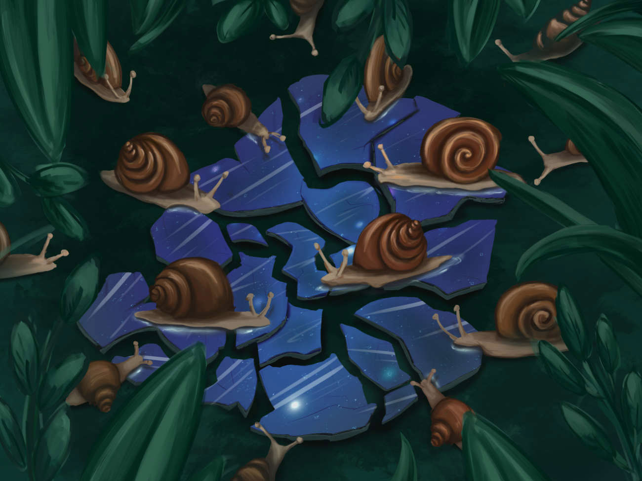 Truyện Ehon - Truyện tranh thai giáo: Luna và chiếc hộp giữ sao