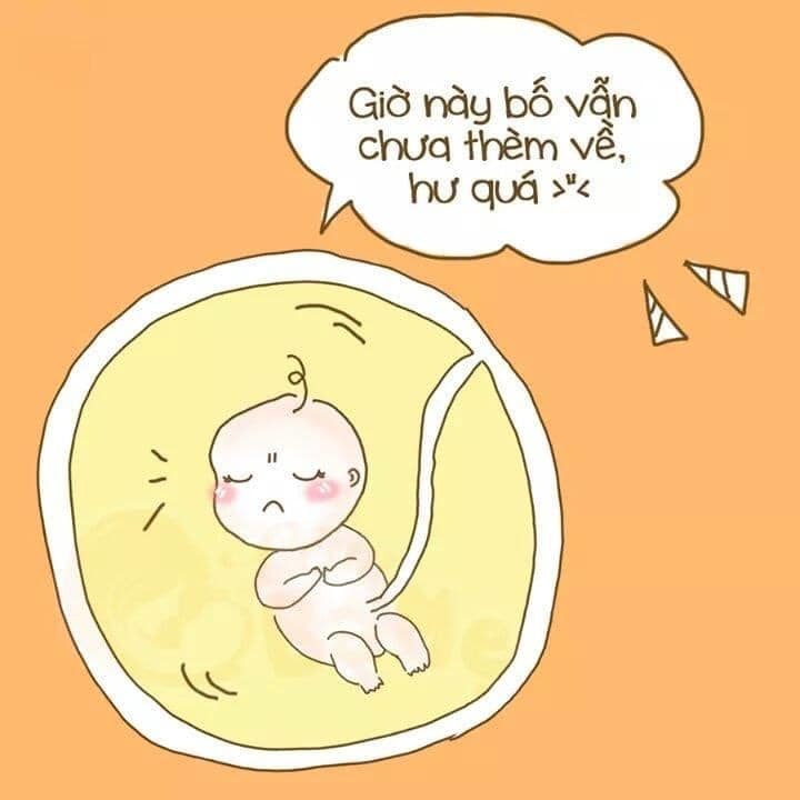 Giận bố mà đạp mẹ nèeeee