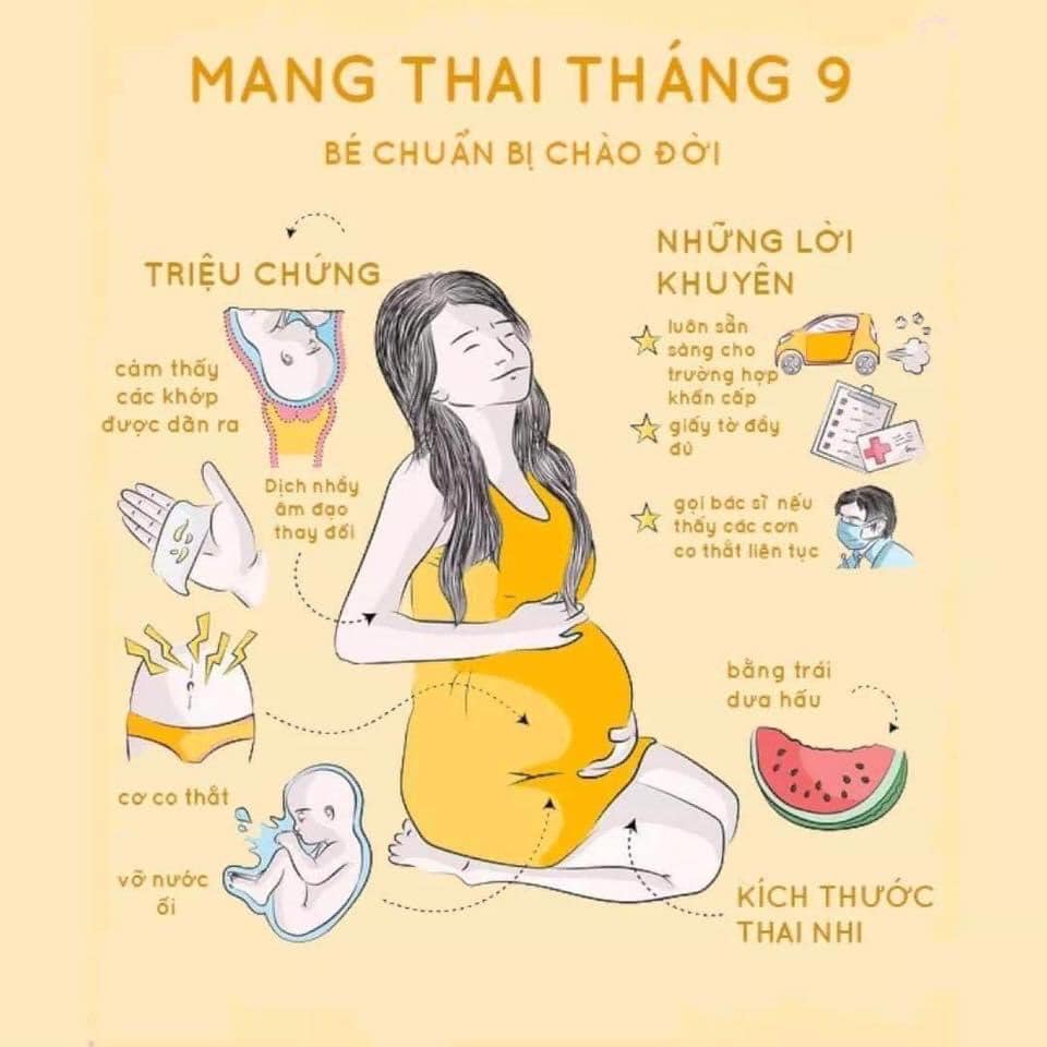Hành trình đẹp nhất đời người phụ nữ 🥰