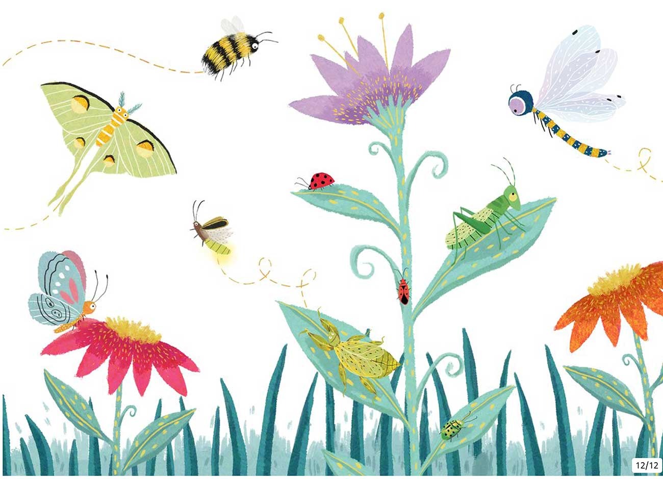 Truyện Ehon - Truyện tranh thai giáo: Cùng tập đếm