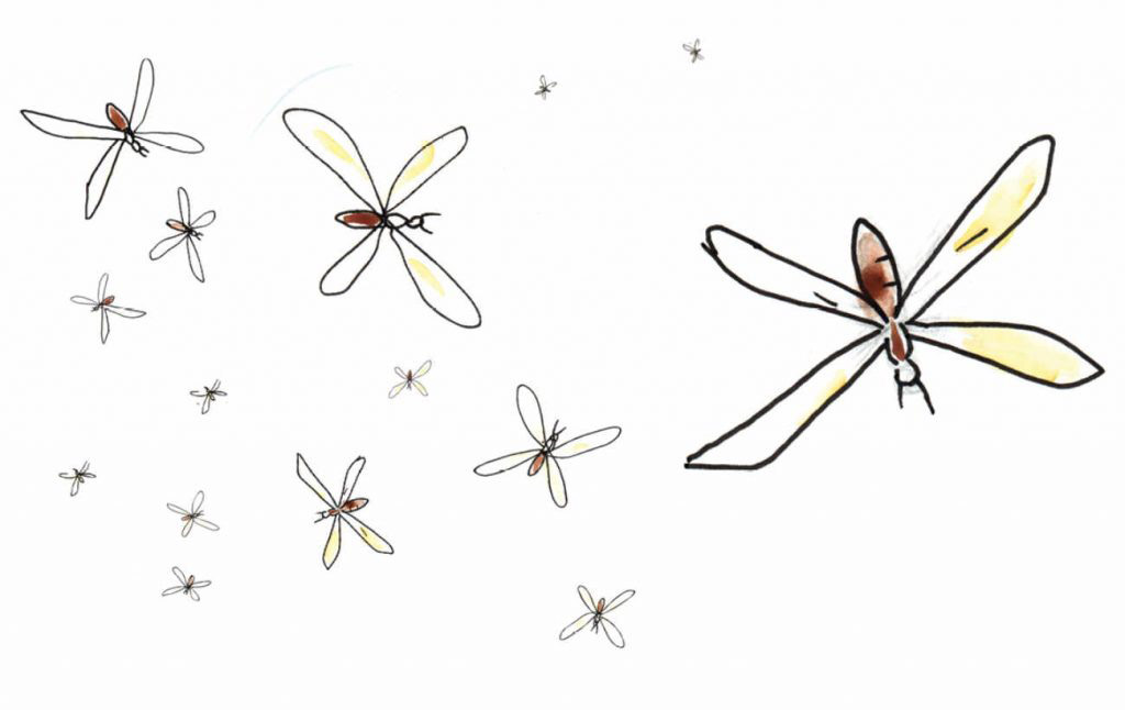 Truyện Ehon - Truyện tranh thai giáo: Con đường mới