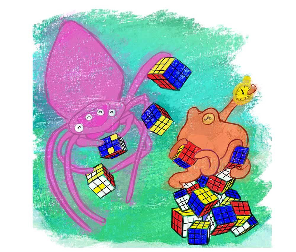 Truyện Ehon - Truyện tranh thai giáo: Bạch tuộc Ollie và nhện Sukey