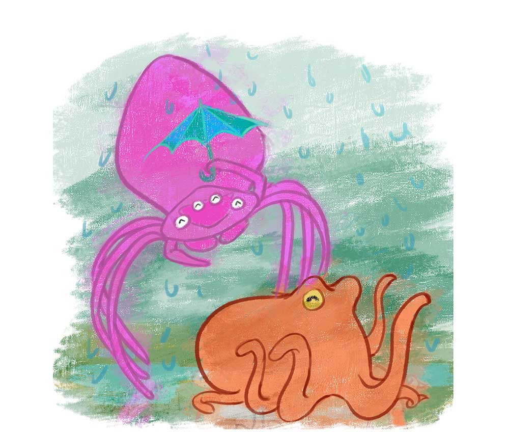 Truyện Ehon - Truyện tranh thai giáo: Bạch tuộc Ollie và nhện Sukey