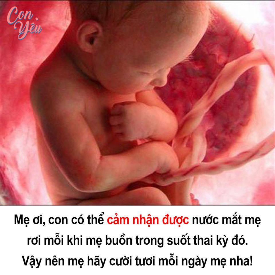 Mẹ buồn và khóc nhiều, con sinh ra sẽ có đôi mắt buồn đấy ạ ☹️