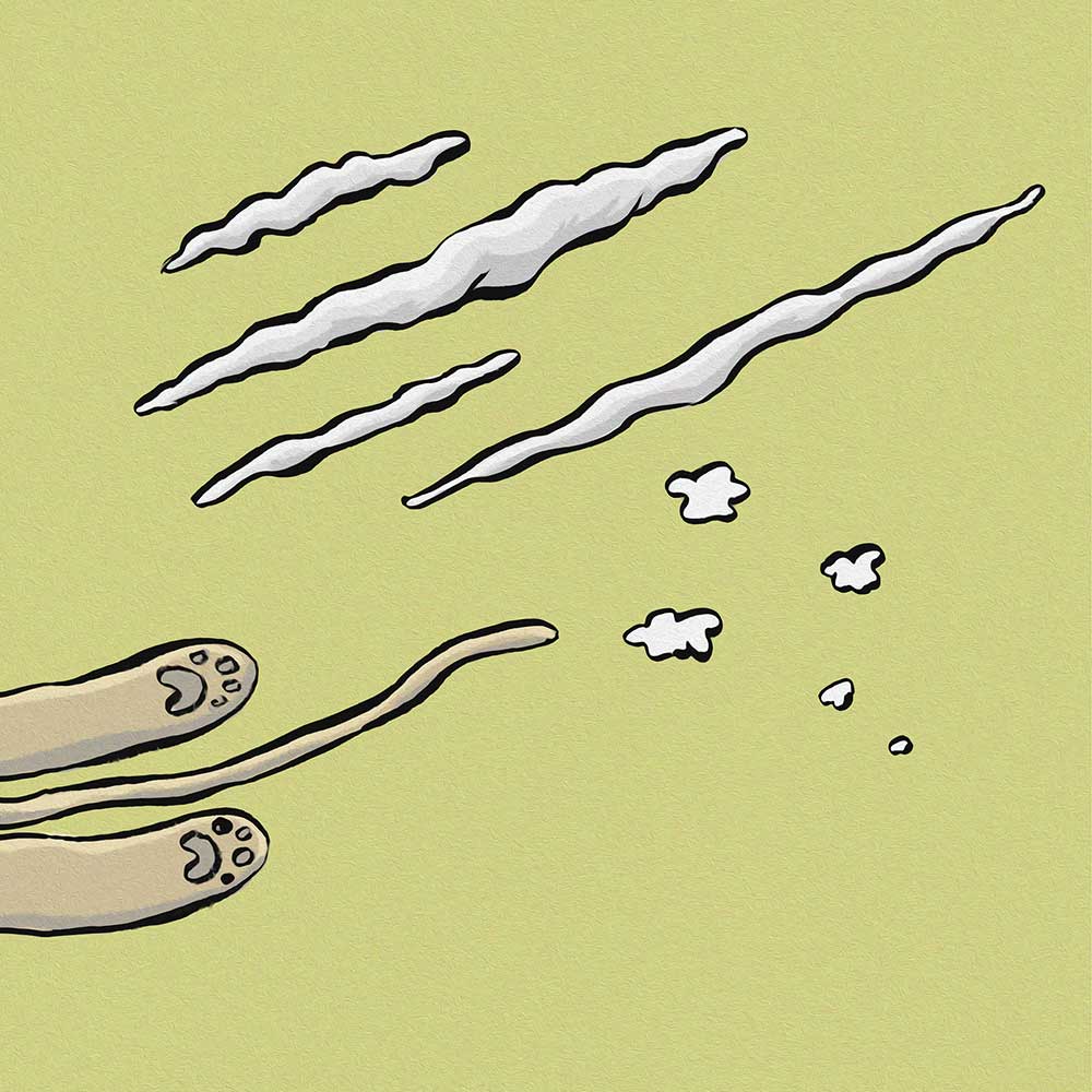 Truyện Ehon - Truyện tranh thai giáo: Sư tử dũng cảm