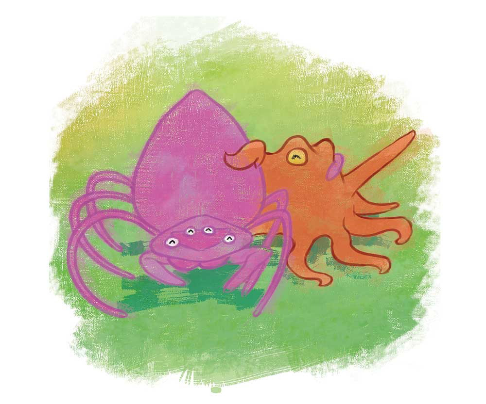 Truyện Ehon - Truyện tranh thai giáo: Bạch tuộc Ollie và nhện Sukey