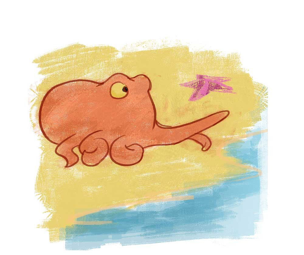 Truyện Ehon - Truyện tranh thai giáo: Bạch tuộc Ollie và nhện Sukey