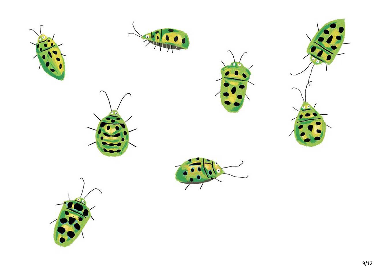 Truyện Ehon - Truyện tranh thai giáo: Cùng tập đếm