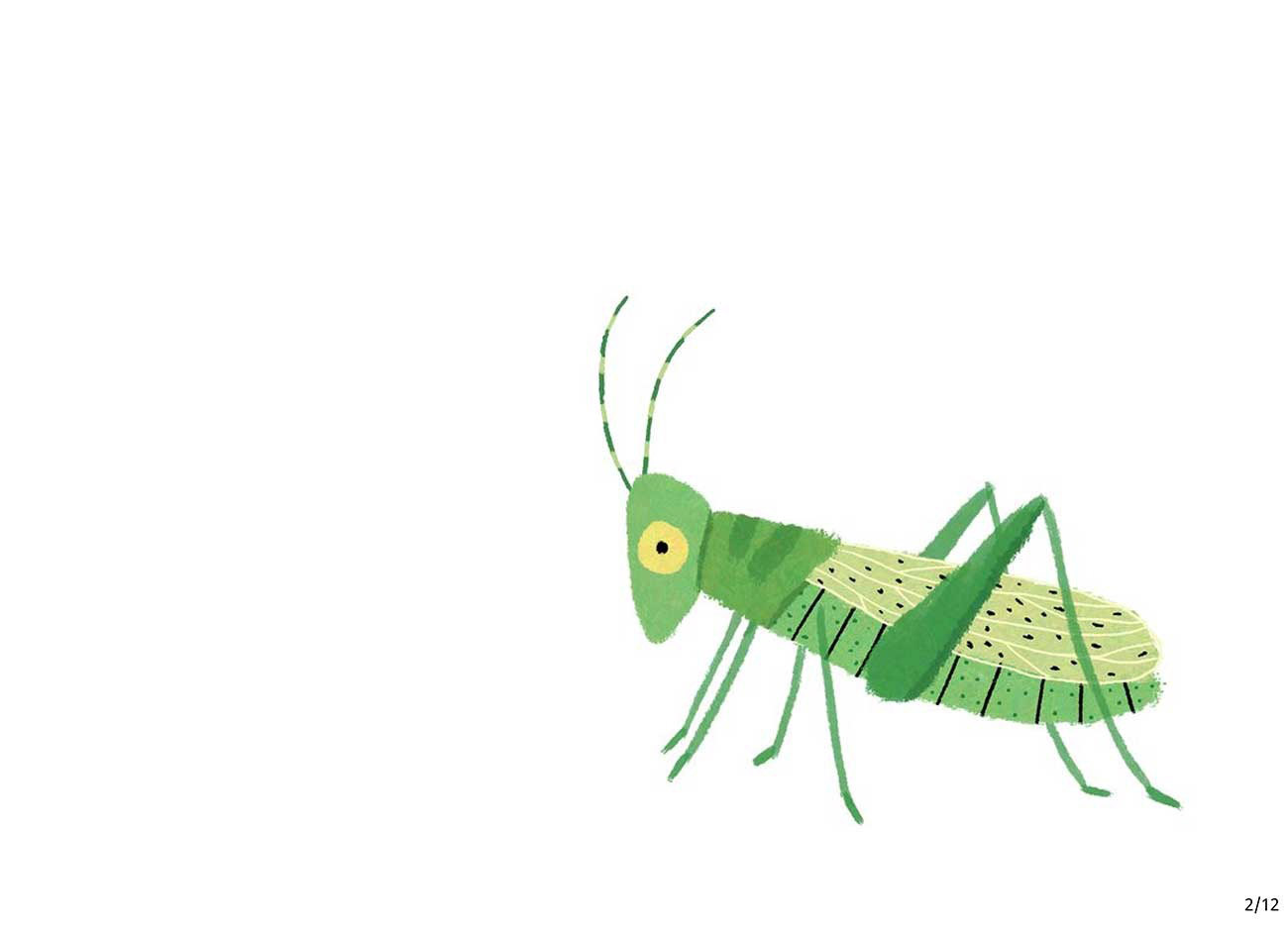 Truyện Ehon - Truyện tranh thai giáo: Cùng tập đếm