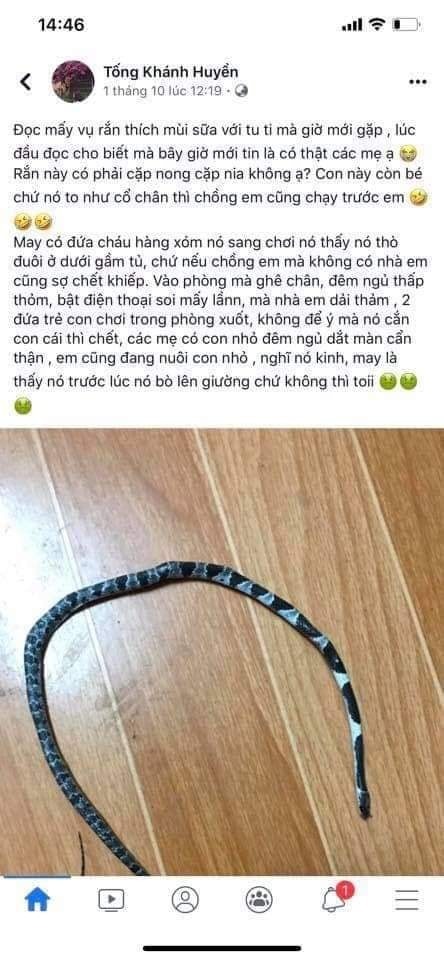 Các Mẹ Bỉm Sữa Đọc Để Cảnh Giác Và Đề Phòng Nhé
Rắn có thích sữa mẹ hay không???😱😰
Chưa có thông tin xác thực hay nghiên cứu chính thức, nhưng ngay sáng ngày 8/1/2020, một bé trai 20 ngày tuổi đã bị tử vong do rắn cạp nia bò vào nhà và cắn bé.
Đây là những thông tin tổng hợp từ các mẹ khác kể lại, các mẹ mới sinh nên đọc để đề phòng và vệ sinh sạch cho bé và đồ dùng của bé nhé❗
Nguồn: tổng hợp