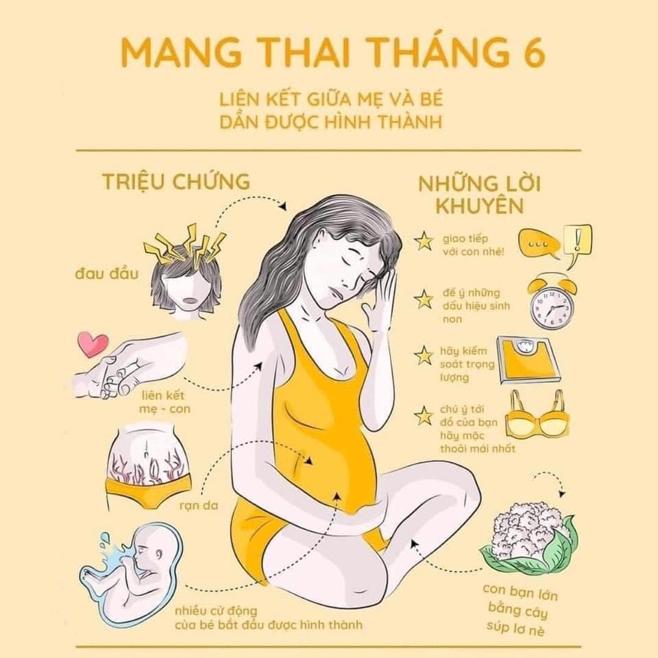 Hành trình đẹp nhất đời người phụ nữ 🥰
