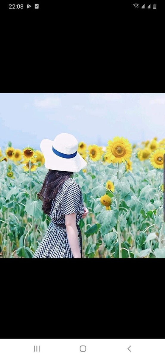 Mình cũng rảnh vì cữ được hai bên nội ngoại chăm nên ngoài thời gian hai mẹ con thì minh hay lên mạng chia sẻ cữ của mình.
 Lúc cấn cầu đến khi sinh mình luôn tham khảo hết tất cả cữ .Ông bà ta nói có kiêng có lành.Nhưng cũng ko nên rập khuân lắm. Lúc bầu mjnh hay tỷ tê vs hai mẹ. Mình ở tp nên em mua sẵn mấy thứ trước khi sinh. 
Phụ nữ sau sinh con cần có khoảng thời gian ở cữ để cơ thể được phục hồi lại như ban đầu, tránh được những nguy hại về sức khỏe sau này. 
Khoảng thời gian ở cữ bắt đầu sau khi xuất viện về nhà. Đến 1 tháng hoặc 3 tháng 10 ngày có nhiều quan niệm ở cữ sau sinh khác nhau.
🌸1 ) tắm : 
Tắm gội bình thường sau khi xuất viện về nhà miễn tắm gội nhanh bằng nước ấm, ở bv mình đã tắm nhanh bằng nước ấm rồi. 
 Về nhà mình có mua sẵn mấy bó lá xông . Gồm lá sả,chanh bưởi hương nhu, mình thích mùi lá hương nhu nên mua rất nhiều. Mình mua nguyên 1kg là 40k.
Mình về để dành nấu nước xông toàn thân vs mặt. Lấy lại để nấu nước tắm. 
Nhất vụ xông mặt, thơm lắm các mẹ ạ. Mặt mình sinh xong nặng mặt lắm. Mà mặt nổi mụn ẩn dưới da, da xạm nám. 
Xông xong cái mặt nhẹ dơ  dã man. Lau xong vắt cái khăn nước đen thui. 
Tuần mình xông mặt 3 lần .
Xông xong mình bôi cốt nghệ gấc. Da mình hợp nên bôi sáng lên
 Da đẹp nữa hết cữ mình mới sd thêm mỹ phẩm dưỡng da. Tuy da ko trắng  nhưng da mặt rất mịn ko mụn. 
Mình may mắn là không bị rạ nhiều nhưng thâm bao la. Cứ xông toàn thân xông là mình bôi cốt hạ thổ gừng nghệ gấc hết tay chân bụng. Mong vớt vát dc xúi . Mình kết hợp vs chườm muối. Mình khuyên các mẹ nên chườm muối. Nếu ko làm được thì mua cũng rẻ. 
Muối hột vs ngải cứu hương nhu đinh lăng củ sả. Sao khô rang mới để được lâu nhé.
Mình lúc đầu từ đi mua nguyên liệu về làm nhưng do ở tp mua chả bao giờ đủ nguyên liệu , nên sau đó đi mua 1 túi 1kg là 50k. Sd cũng rất tiện mình quất mấy túi sd . 
 Mình từ 48kg lên 75kg, sinh xong eo bánh mỳ luôn.xuống bàn đẻ chỉ xuống dc 5kg thôi ạ.
Trong tháng mình chườm xuống được 5 cm.
Mình đã cái vụ táo bón sau sinh nên mình bổ sung  rất nhiều rau luộc, củ , quả chín. Nên mình cũng đỡ đỡ cái táo bón. Mình ăn uống theo chế độ ở bv đưa về. Nên mình cứ theo đó là nhà nấu theo. 
Ra tháng mình xuống thêm được 5kg nữa. Sữa mẹ vẫn đủ cho con bú. 
Đối vs cửa mình các mẹ xông của mình bằng lá trầu không tươi hoặc chè xanh là tốt nhất luôn. Cho đỡ viêm nhiễm.
Đợi sản dịch bớt bớt là xông các mẹ . Xông săn lại cửa mình lắm. 
Gội đầu mình toàn sd bồ kết mua ở chợ có 80k 1kg . Nấu nước  gội cả mấy tháng mới hết. Được cái tóc đen và ko rụng dày nữa.  Tóc mjnh thời con gái nhuộm nhiều nên cữ mình chăm sóc kỹ lại. 
Kỳ cữ của mình là 3 tháng hơn. Mình con so nên được hai bên gd nội ngoại thay nhau chăm đẻ. Nay mình đã 4 tháng mới sd nước lạnh giặt đồ cho bé. Tháng cữ mình sd nước ấm về sinh cá nhân thôi ạ. 
Mình cảm nhận được cơ thể mình thay đổi sau sinh. Nay mình lên cân 55kg. Bụng đã gọn, mình mặc được đồ trước khi bầu. Nhìn gọn hơn, da mình được khen hồng hào tuy là ko trắng nhưng rất mịn màng . 
Kinh nghiệm mình đã ở cữ xong. Chia sẻ cho những mom cần. 
Chúc mẹ chuột kỹ cữ khỏe đẹp nè. Tớ đi chăm bạn chuột con nha tớ đậy 🐭🐭🐭