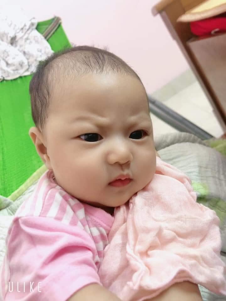 Lúc bầu, chồng hay làm vợ cáu và cái kết 😂🤣