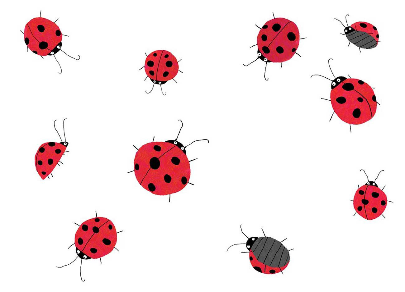 Truyện Ehon - Truyện tranh thai giáo: Cùng tập đếm