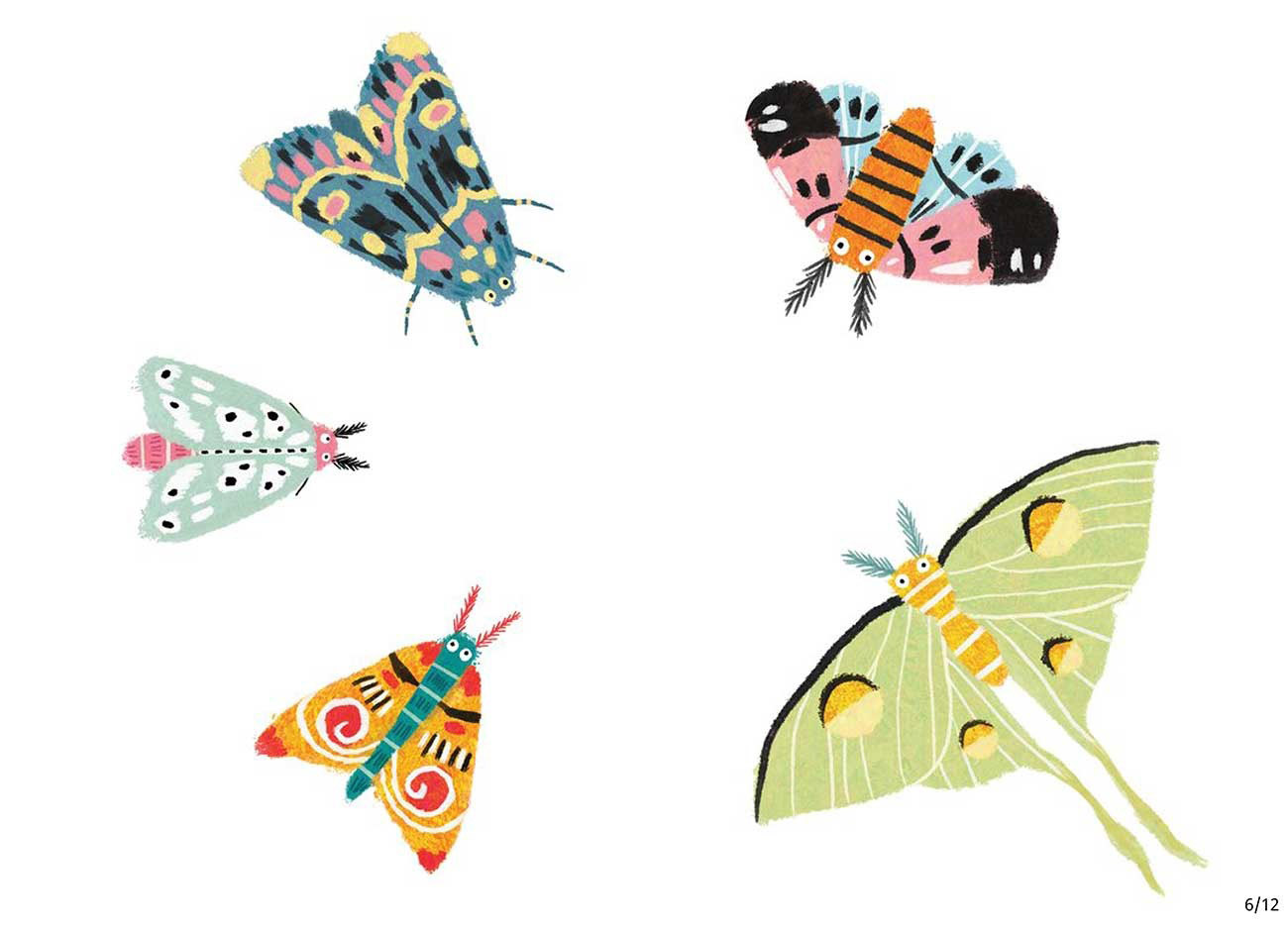 Truyện Ehon - Truyện tranh thai giáo: Cùng tập đếm