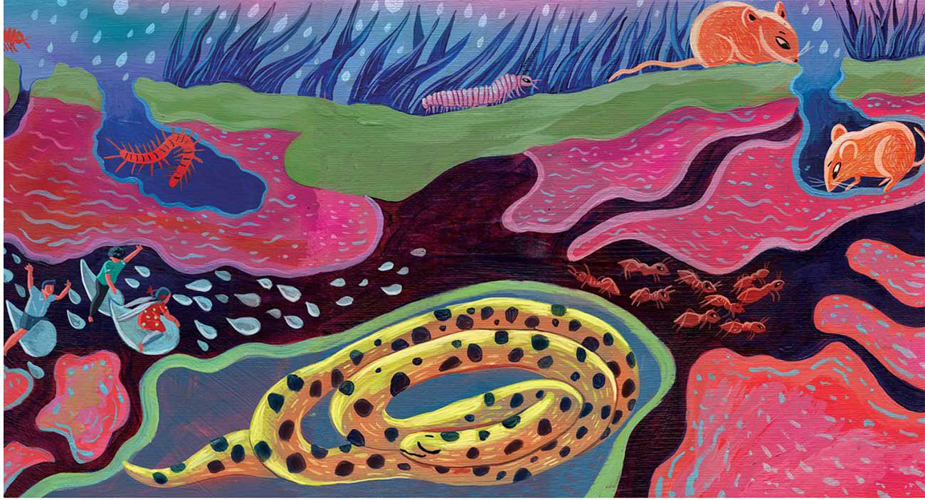 Truyện Ehon - Truyện tranh thai giáo: Bay trên những giọt mưa