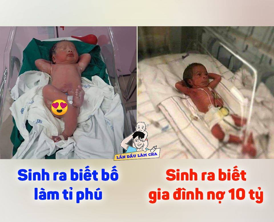 Làm ăn gì nữa các bác 🤣🤣🤣