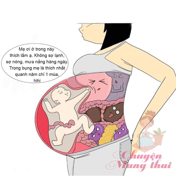 E tập đầu nên k biết.Các mom cho e hỏi con so thường sinh đúng ngày dkien k ạ.hay là trước ngày dkien ạ.e cảm ơn