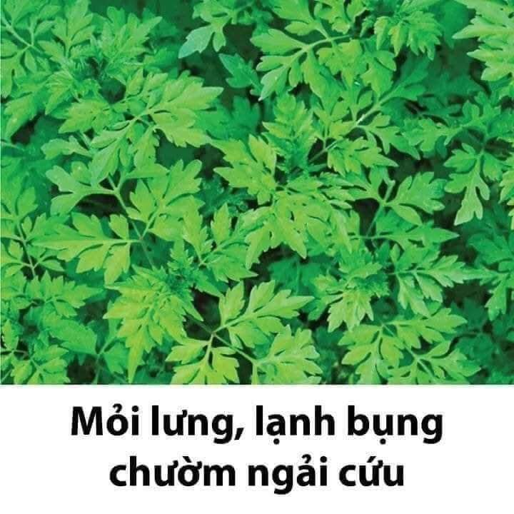 Lưu lại dùng dần các mẹ nhé!