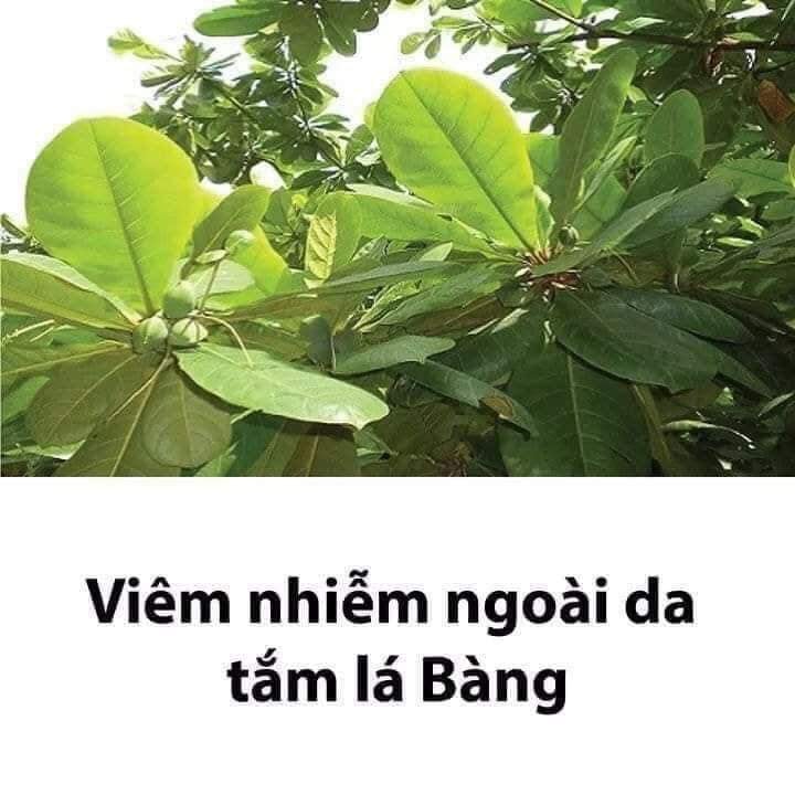 Lưu lại dùng dần các mẹ nhé!